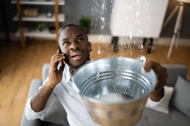 Best Water damage restoration specialists  in Lombard, IL