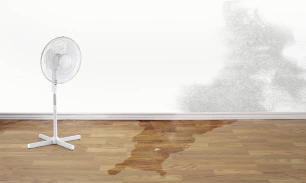 Best Emergency water damage restoration  in Lombard, IL