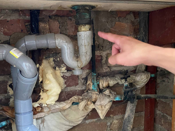 Best Mold removal after water damage  in Lombard, IL