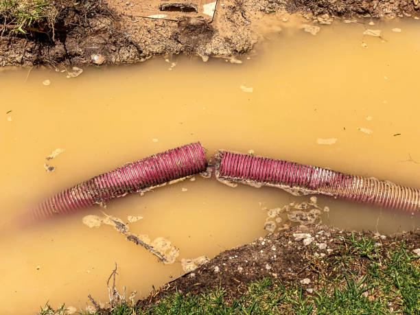 Best Carpet water damage restoration  in Lombard, IL